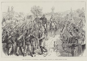 The Revolution in Roumelia, Servian First Reserve on Their March to Nish by Johann Nepomuk Schonberg
